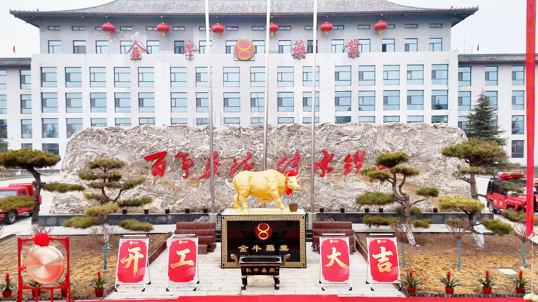 开工启新程，笃行向未来——金牛药业2026年开工典礼圆满举行