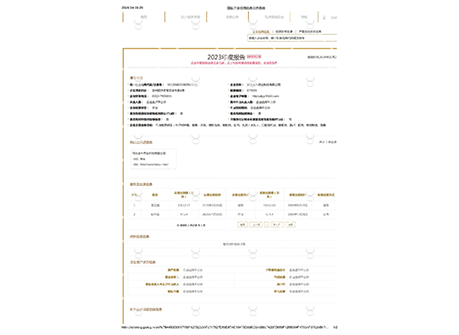 第2.3页国家企业信用信息公示系统2023年_00